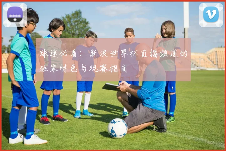 球迷必看：新浪世界杯直播频道的独家特色与观赛指南