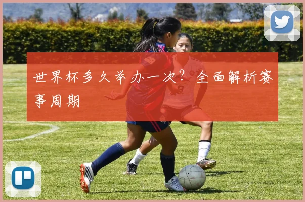 世界杯多久举办一次？全面解析赛事周期