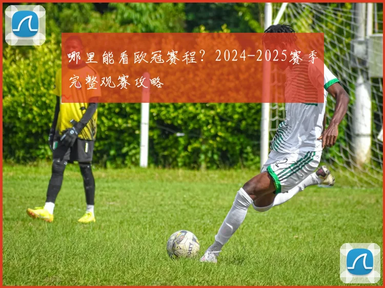 哪里能看欧冠赛程？2024-2025赛季完整观赛攻略