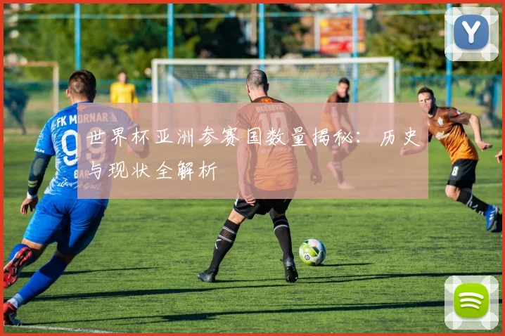 世界杯亚洲参赛国数量揭秘：历史与现状全解析