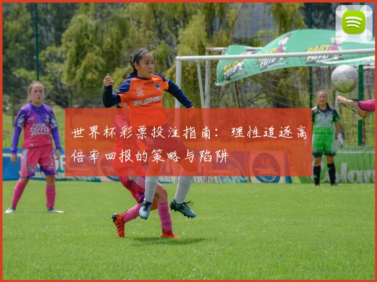 世界杯彩票投注指南：理性追逐高倍率回报的策略与陷阱