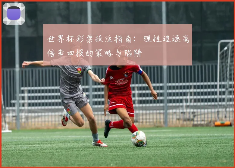 世界杯彩票投注指南：理性追逐高倍率回报的策略与陷阱